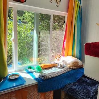 Cat's Nest - Pet Sitting Near Me - Arroyo Grande, California Cat's Nest - Pet Sitting Near Me - Arroyo Grande, California