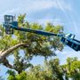 Photo of T & D Tree Service