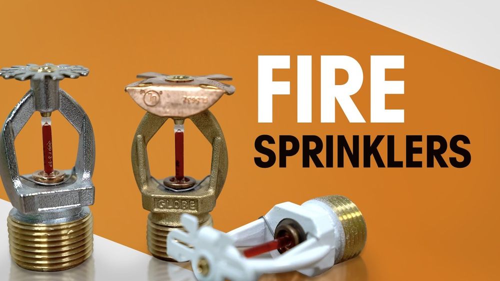 Slide of Eddie B Fire