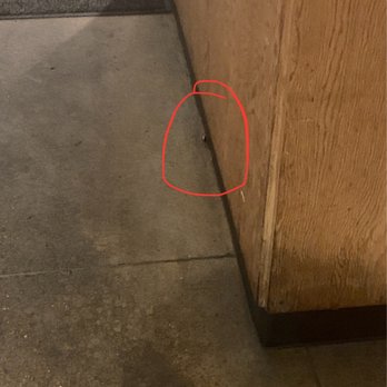 Chipotle Mexican Grill - Roach - Fast Food Near Me - Cordova, Tennessee Chipotle Mexican Grill - Roach - Fast Food Near Me - Cordova, Tennessee