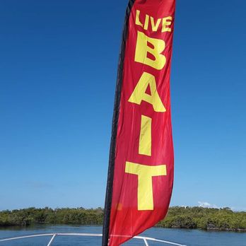 Bait Me Key Largo - Live Bait - Boat Charters Near Me