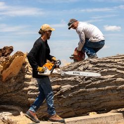 Langley's Tree Specialist - Removal
