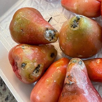 Queen Fresh Fruits - Rotten wax apple / mận - Fruits & Veggies Near Me - San Jose, California Queen Fresh Fruits - Rotten wax apple / mận - Fruits & Veggies Near Me - San Jose, California