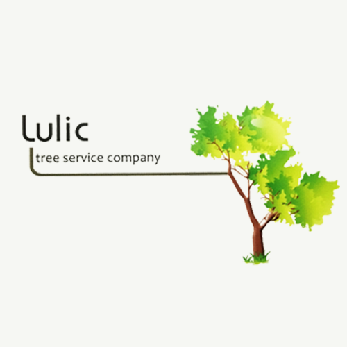 Lulic Tree Service - tree service in Countryside, IL