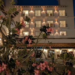 Hacienda del Mar - Flowering bushes everywhere