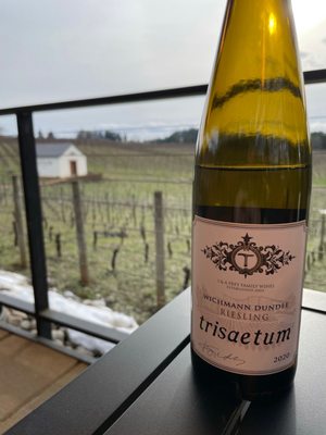 Trisaetum Winery by null