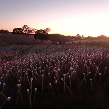 Sensorio - Pretty landscape - Art Galleries Near Me - Paso Robles, California