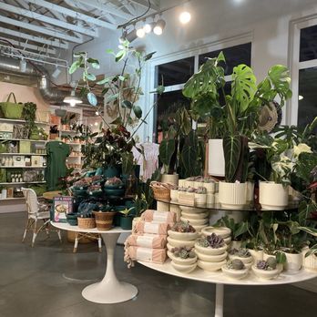 Pigment - Home Decor Near Me - San Diego, California Pigment - Home Decor Near Me - San Diego, California