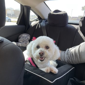 Camp Run-A-Mutt - Dog grooming - Pet Sitting Near Me - Chula Vista, California Camp Run-A-Mutt - Dog grooming - Pet Sitting Near Me - Chula Vista, California