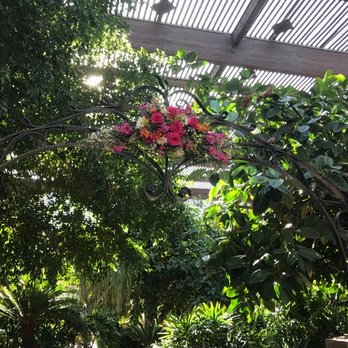 PJs Flowers & Events - archway - Florists Near Me - Phoenix, Arizona PJs Flowers & Events - archway - Florists Near Me - Phoenix, Arizona
