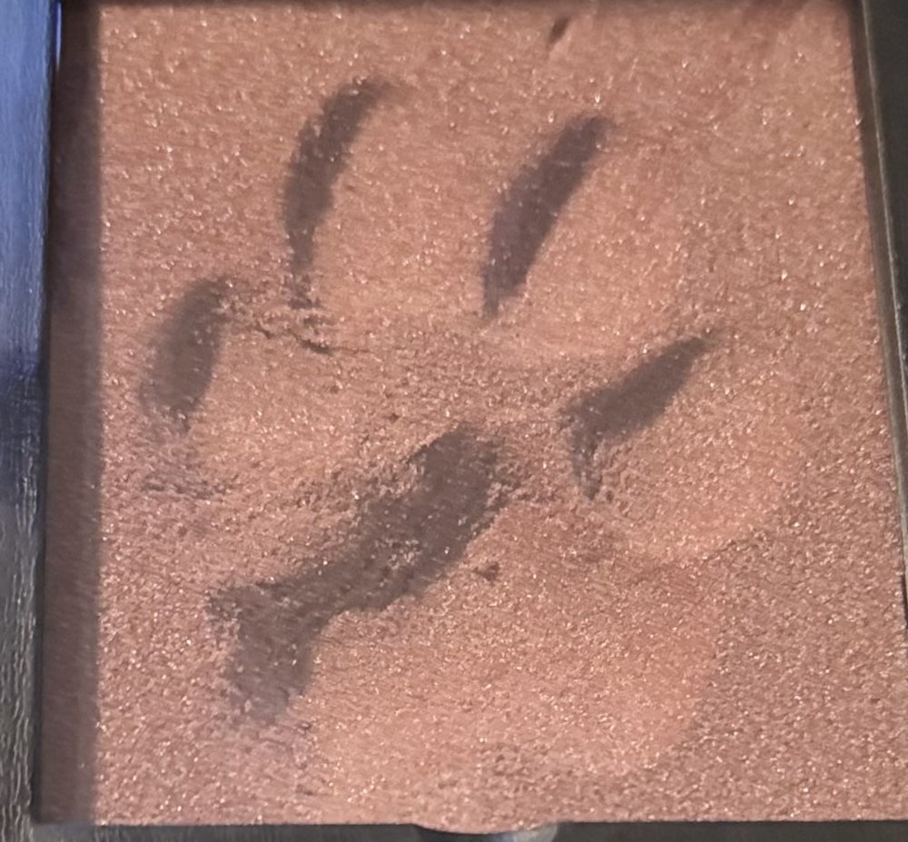 After Care Image