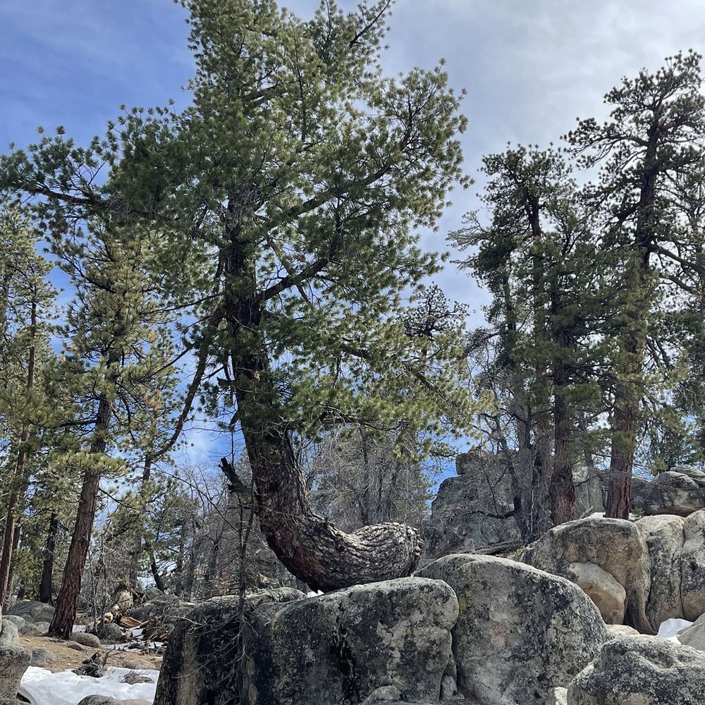 Castle Rock Trail - Hiking Near Me - Big Bear Lake, California