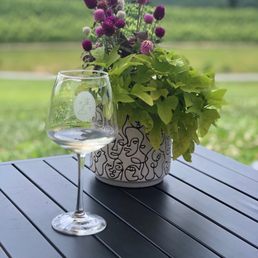 Marked Tree Vineyard Marked Tree Vineyard