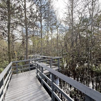 Fern Forest Nature Center - Parks Near Me - Coconut Creek, Florida