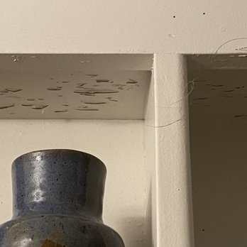 Grey Fox Vacation Rentals - Someone else's hair, peeling paint - Vacation Rentals Near Me - Neskowin, Oregon Grey Fox Vacation Rentals - Someone else's hair, peeling paint - Vacation Rentals Near Me - Neskowin, Oregon