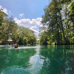 Swimming in the main springs. Swimming in the main springs.