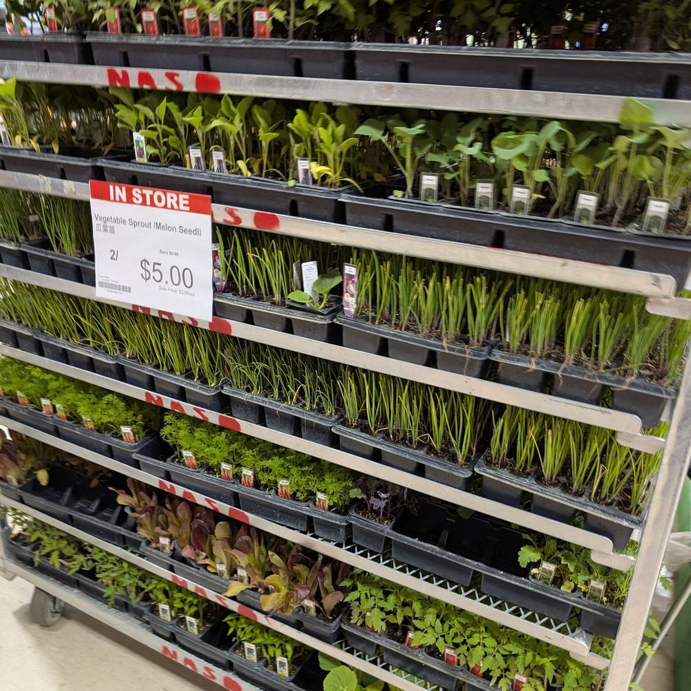 Btrust Supermarket Toronto, ON - Last Updated January 2026 - Yelp