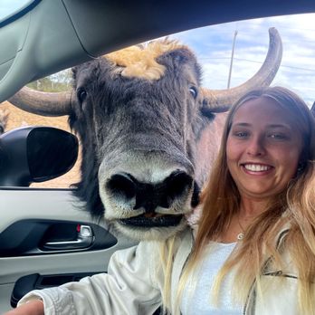 Olympic Game Farm - Oh my! - Zoos Near Me - Sequim, Washington Olympic Game Farm - Oh my! - Zoos Near Me - Sequim, Washington