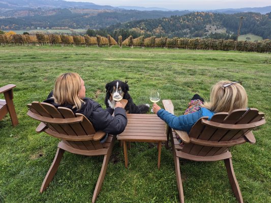 Compris Vineyard by null