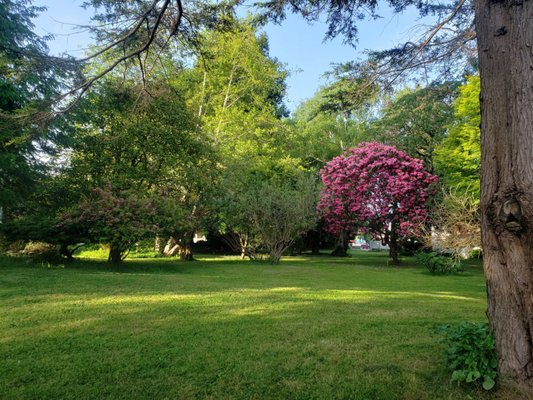 Shaw House Inn by null