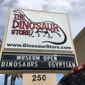 The Dinosaur Store - Museums Near Me - Cocoa Beach, Florida The Dinosaur Store - Museums Near Me - Cocoa Beach, Florida