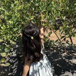 U-Pick Blueberries - Picking unlimited blueberries !