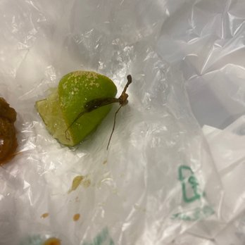 Taco Azteca Original - Second bug I found... totally grossed out. Never again .. I don't even want to continue the review. This is just ewwwww - Mexican Near Me - Glendale, California Taco Azteca Original - Second bug I found... totally grossed out. Never again .. I don't even want to continue the review. This is just ewwwww - Mexican Near Me - Glendale, California