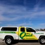 Photo of Quick Pest Solutions