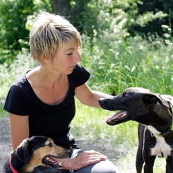 Hundeschule Prima Hunde