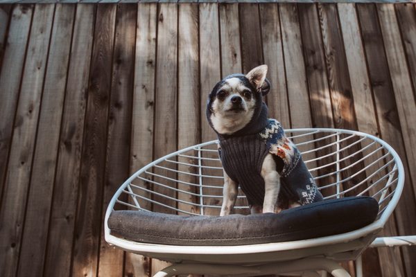 Gather Greene by null