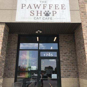 The Pawffee Shop Cat Cafe - Cafes Near Me - Appleton, Wisconsin
