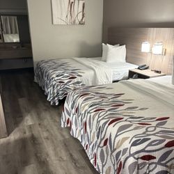 Red Roof Inn - Room