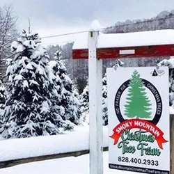 Smoky Mountain Christmas Tree Farm