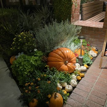 Spaghettini - Outside decor - Italian Near Me - Seal Beach, California Spaghettini - Outside decor - Italian Near Me - Seal Beach, California