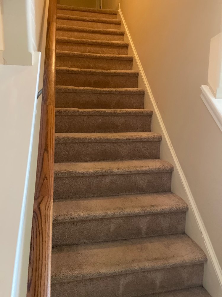 EDWARDS CARPET CLEANERS Updated August 2024 10 Reviews 7605