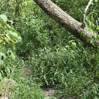 Twin Creek MetroPark - Hiking Near Me - Germantown, Ohio