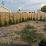 Photo of Verdant Oasis Landscape and Maintenance