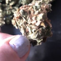 Medical cannabis with very poor trim job Medical cannabis with very poor trim job