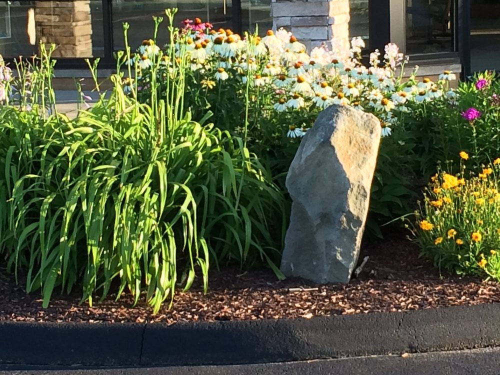 BROWN LANDSCAPING Updated October 2024 49 Photos 5247 Wilson