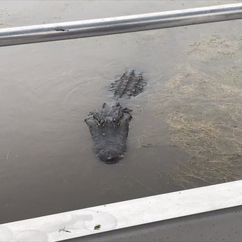 Happiness Bayou Tours - Boat Tours Near Me - Violet, Louisiana Happiness Bayou Tours - Boat Tours Near Me - Violet, Louisiana