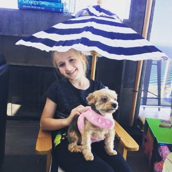The Tailwagger - Elf loves going to Tailwagger for her Spa experience! - Pet Groomers Near Me - Laguna Beach, California The Tailwagger - Elf loves going to Tailwagger for her Spa experience! - Pet Groomers Near Me - Laguna Beach, California