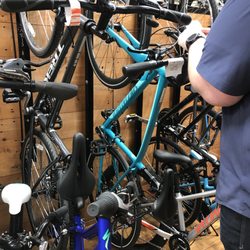 Bicycle Habitat