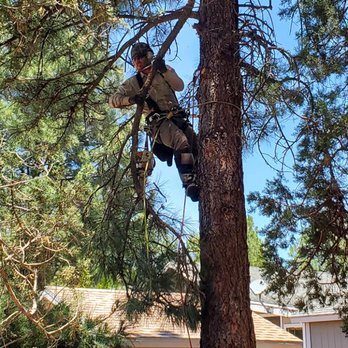 Josh Boggs Tree Service - Tree Services Near Me Josh Boggs Tree Service - Tree Services Near Me