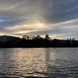 Kelp Reef Adventures - Such a beautiful sunset!