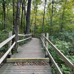 Nerstrand Big Woods State Park