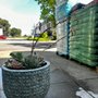Photo of Rooted Garden Supply