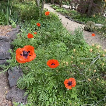 Idaho Botanical Garden - Museums Near Me - Boise, Idaho Idaho Botanical Garden - Museums Near Me - Boise, Idaho