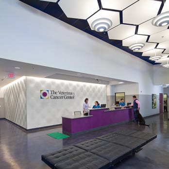 The Veterinary Care Center - The VCC Reception and Waiting Area - Veterinarians Near Me - Norwalk, Connecticut The Veterinary Care Center - The VCC Reception and Waiting Area - Veterinarians Near Me - Norwalk, Connecticut