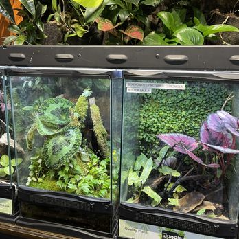 Jungle Box - Nurseries & Gardening Near Me - Phoenix, Arizona