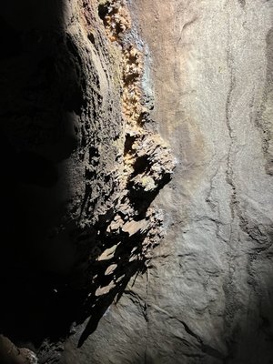 The Lost Sea Adventure by null